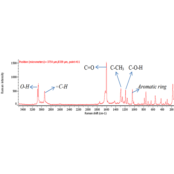 Raman spectroscopy analysis for monitoring of chemical composition of